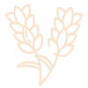 Lavendel