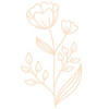 Valeriaan